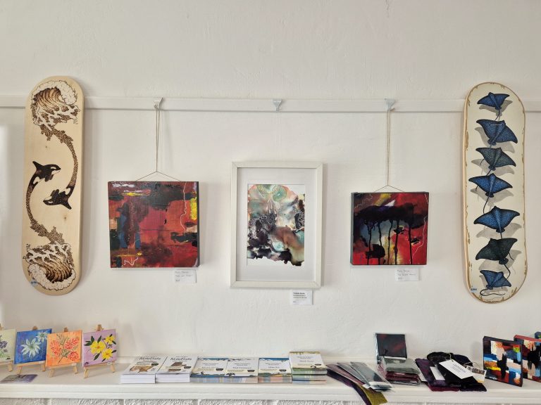 Website Image 7